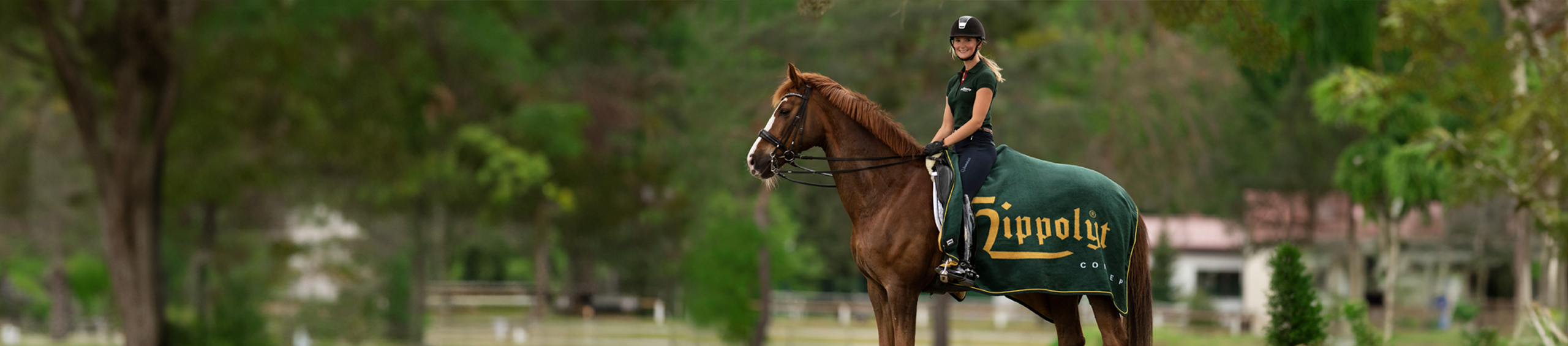 @HEADER-EXTRAS-PFERD @HEADER-EXTRAS-PFERD