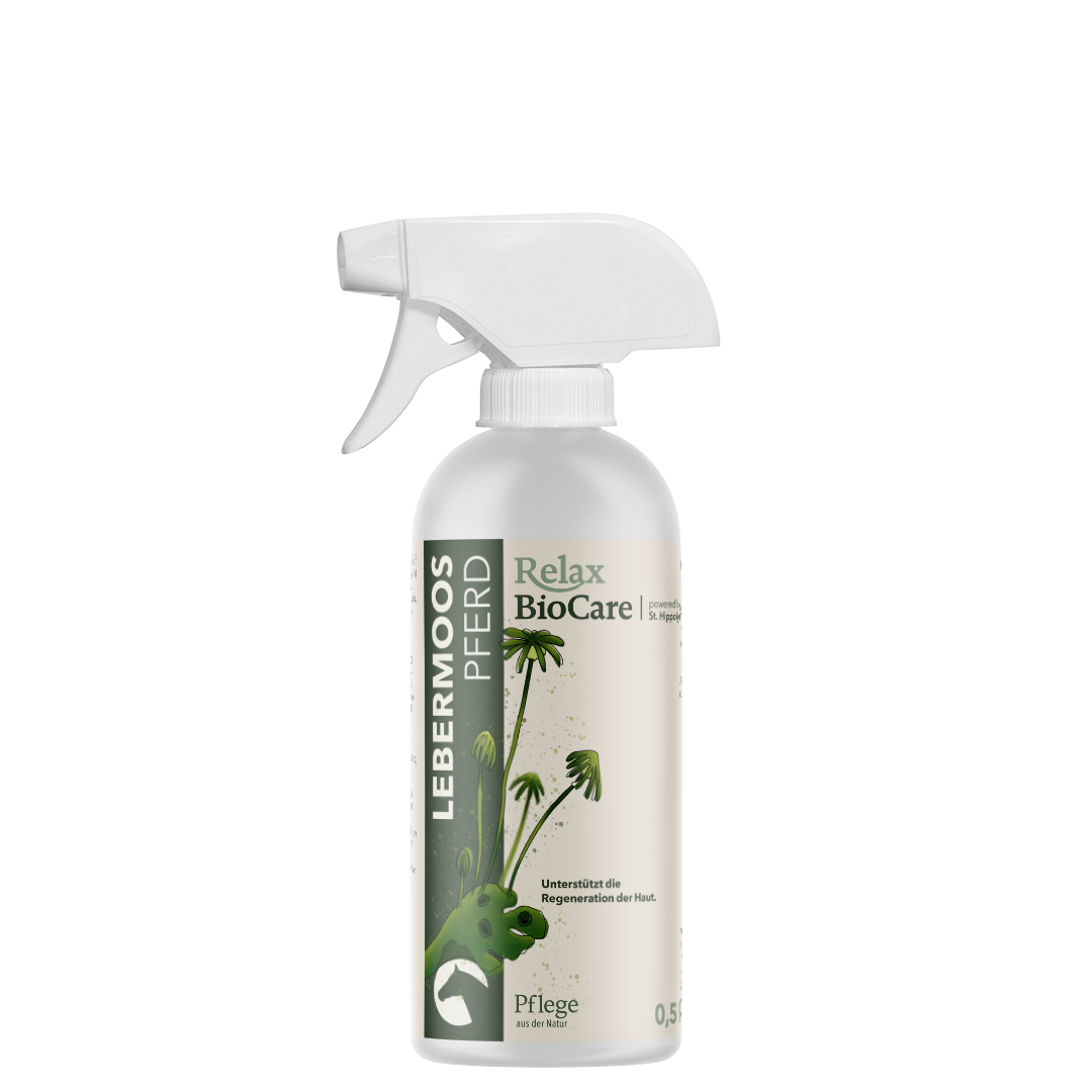 Lebermoos Pferd Lebermoos Pferd