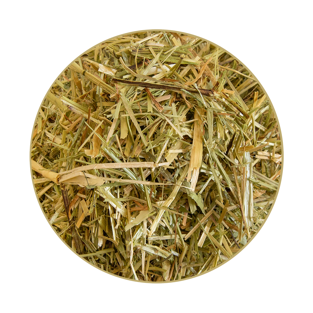 GlyxWiese® Luzerne Mix