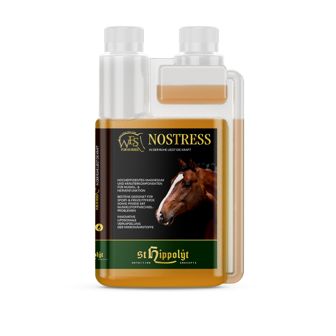 WES NoStress WES NoStress