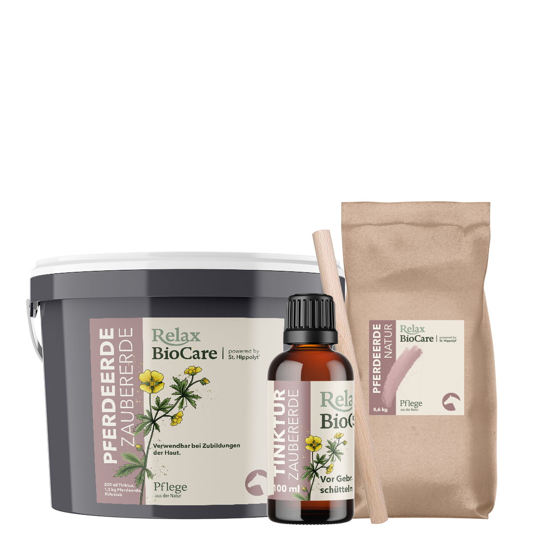 Zaubererde Pferd Zaubererde Pferd