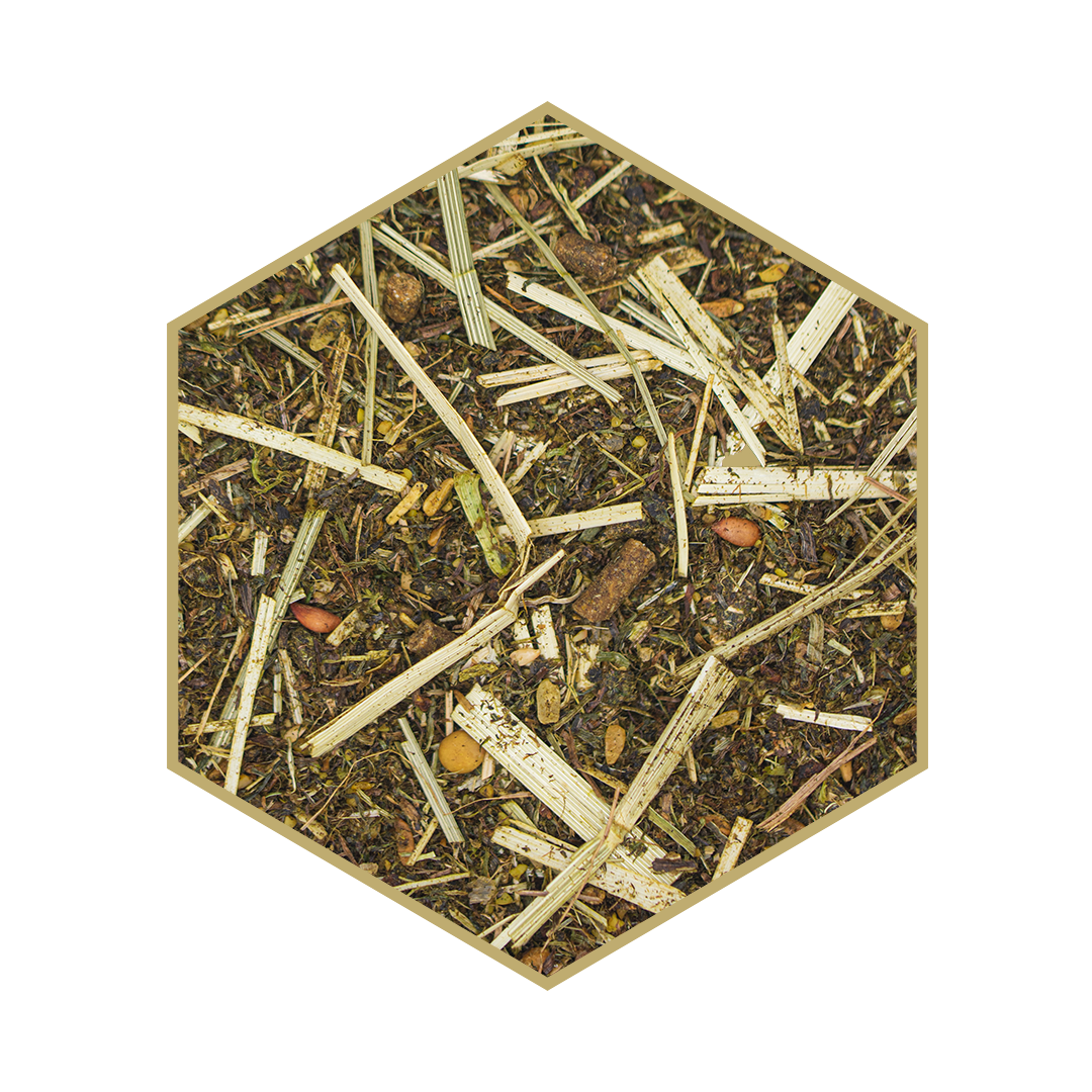 WES All in one WES All in one