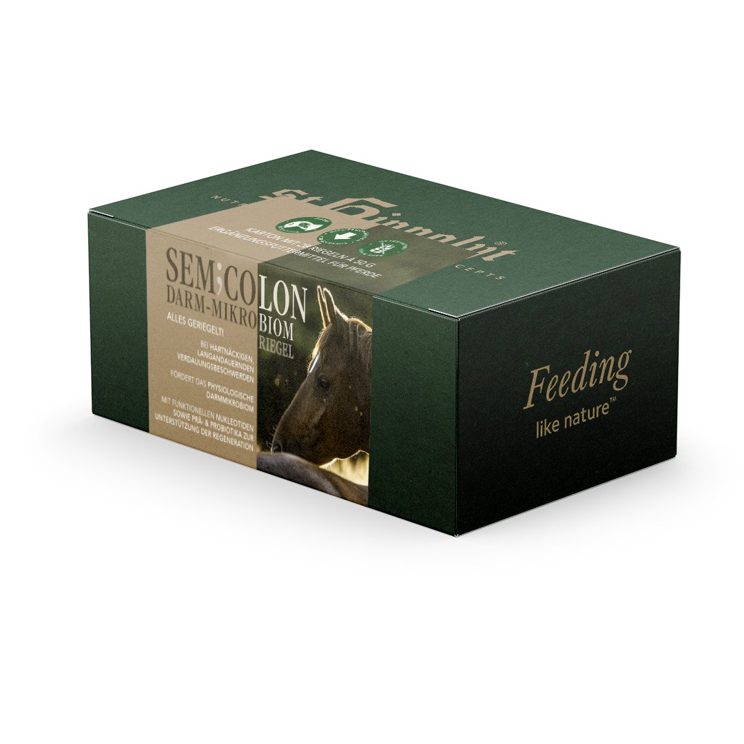 SemiColon - Darm-Mikrobiom-Riegel SemiColon - Darm-Mikrobiom-Riegel