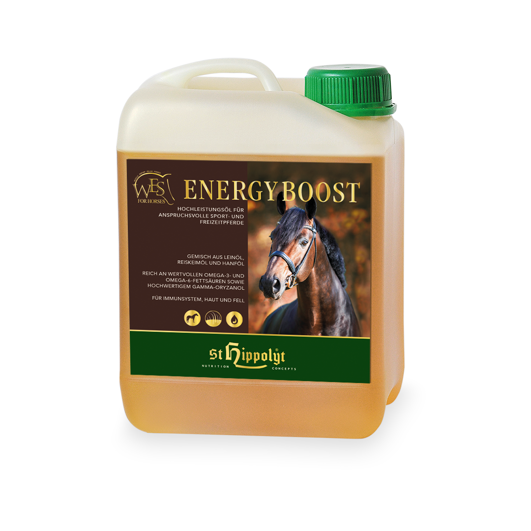 WES Energy Boost WES Energy Boost
