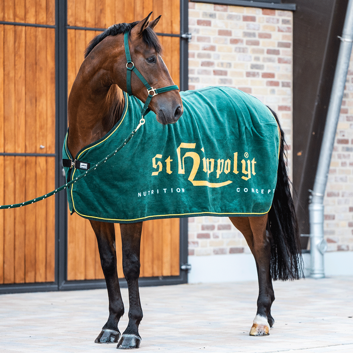 Abschwitzdecke Eskadron Abschwitzdecke Eskadron