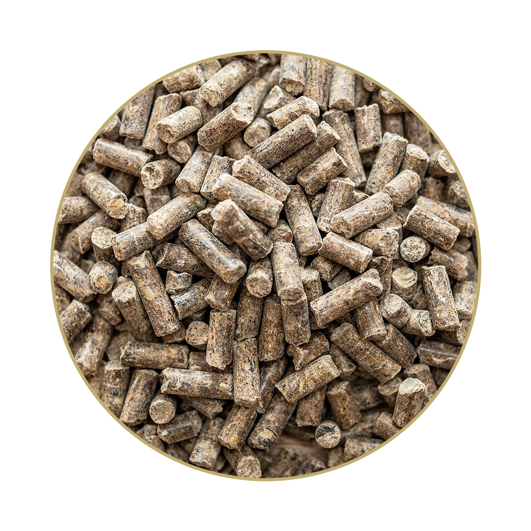 Gemüse-Kräuter-Mineralien Gemüse-Kräuter-Mineralien