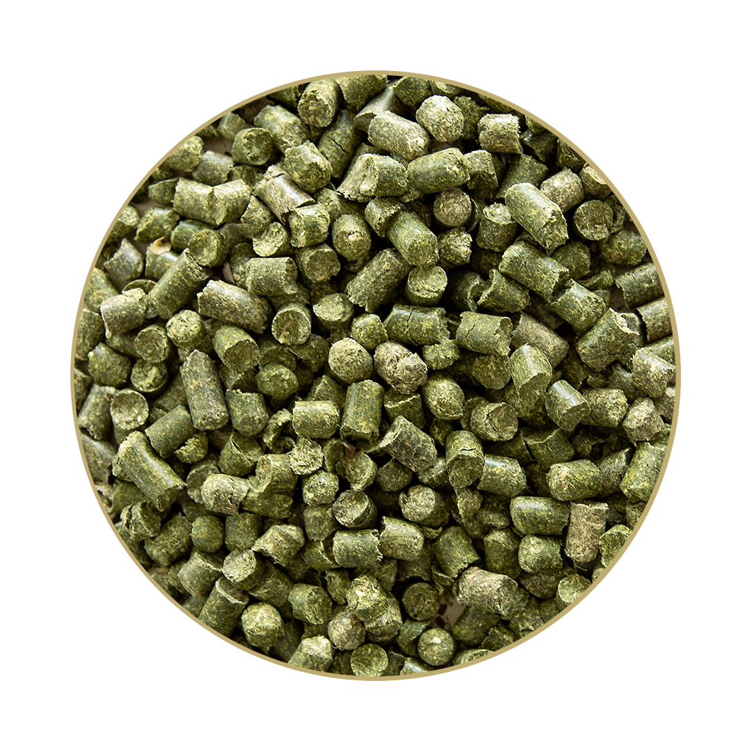 GlyxWiese® BIO Luzernecobs