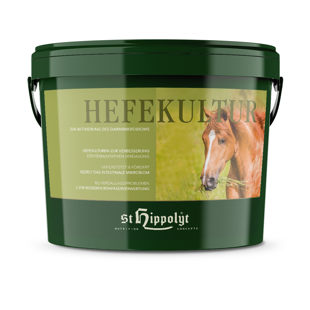 Hefekultur