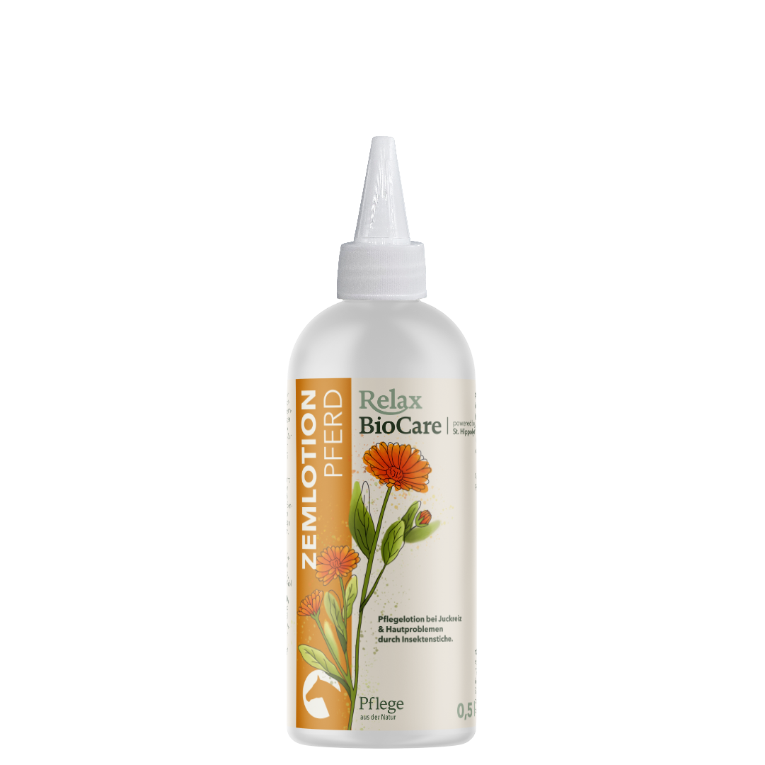 Zemlotion Pferd Zemlotion Pferd