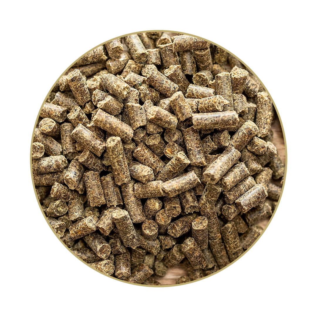 Lamin® Forte Lamin® Forte