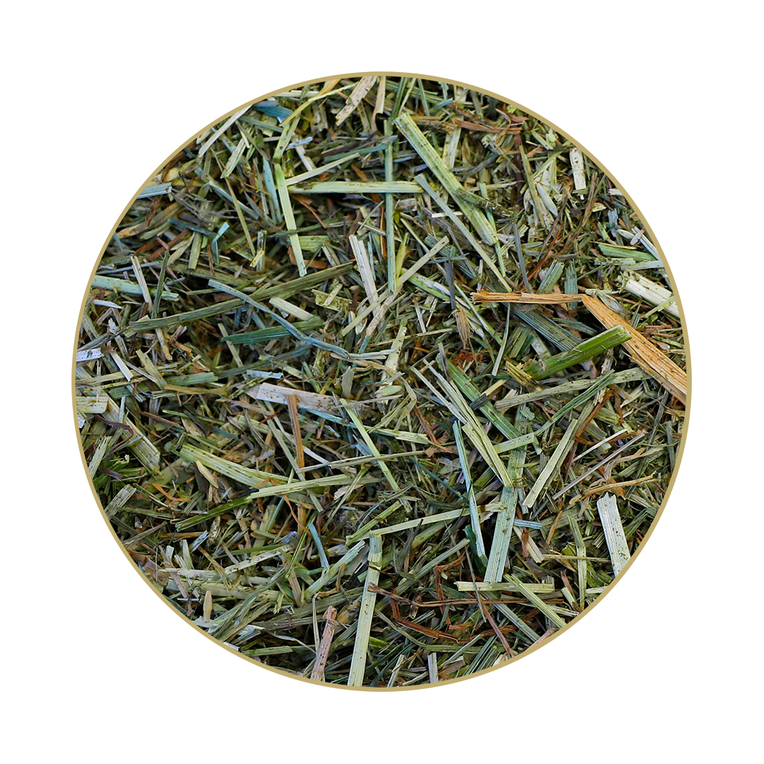 GlyxWiese® Wiesen Mix light