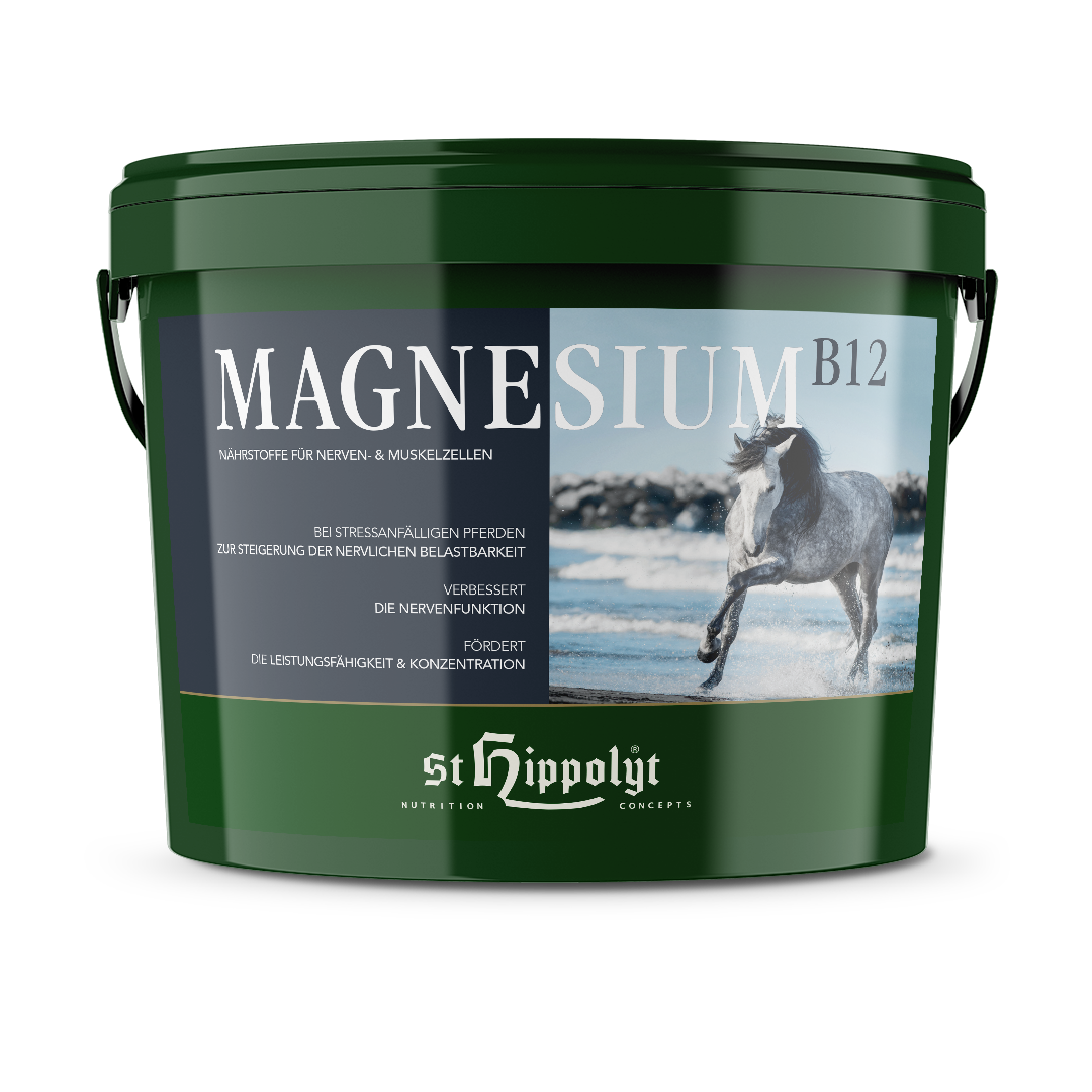 Magnesium B12