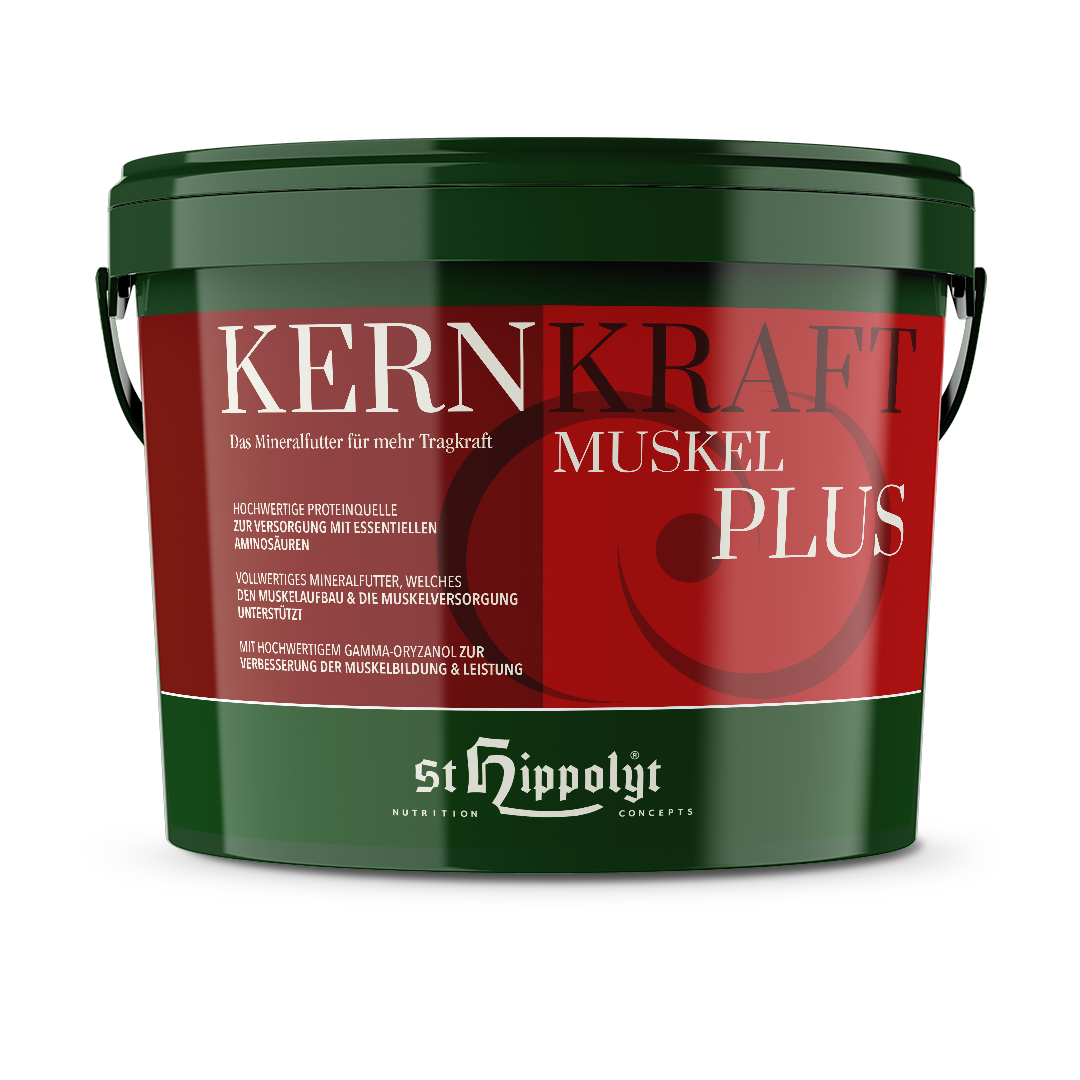 Kernkraft Muskel Plus Kernkraft Muskel Plus