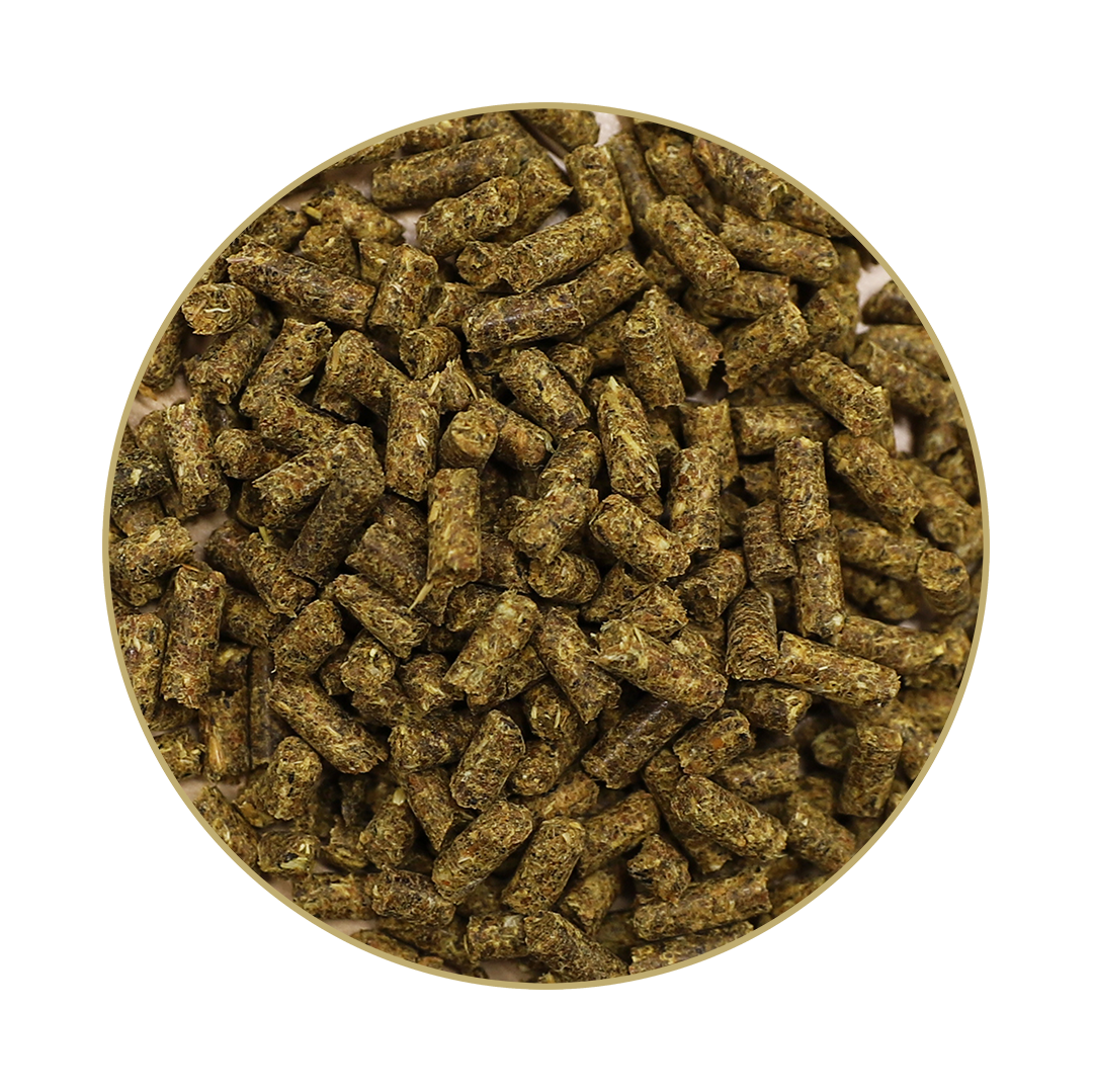 Hesta Plus® Mangan Hesta Plus® Mangan