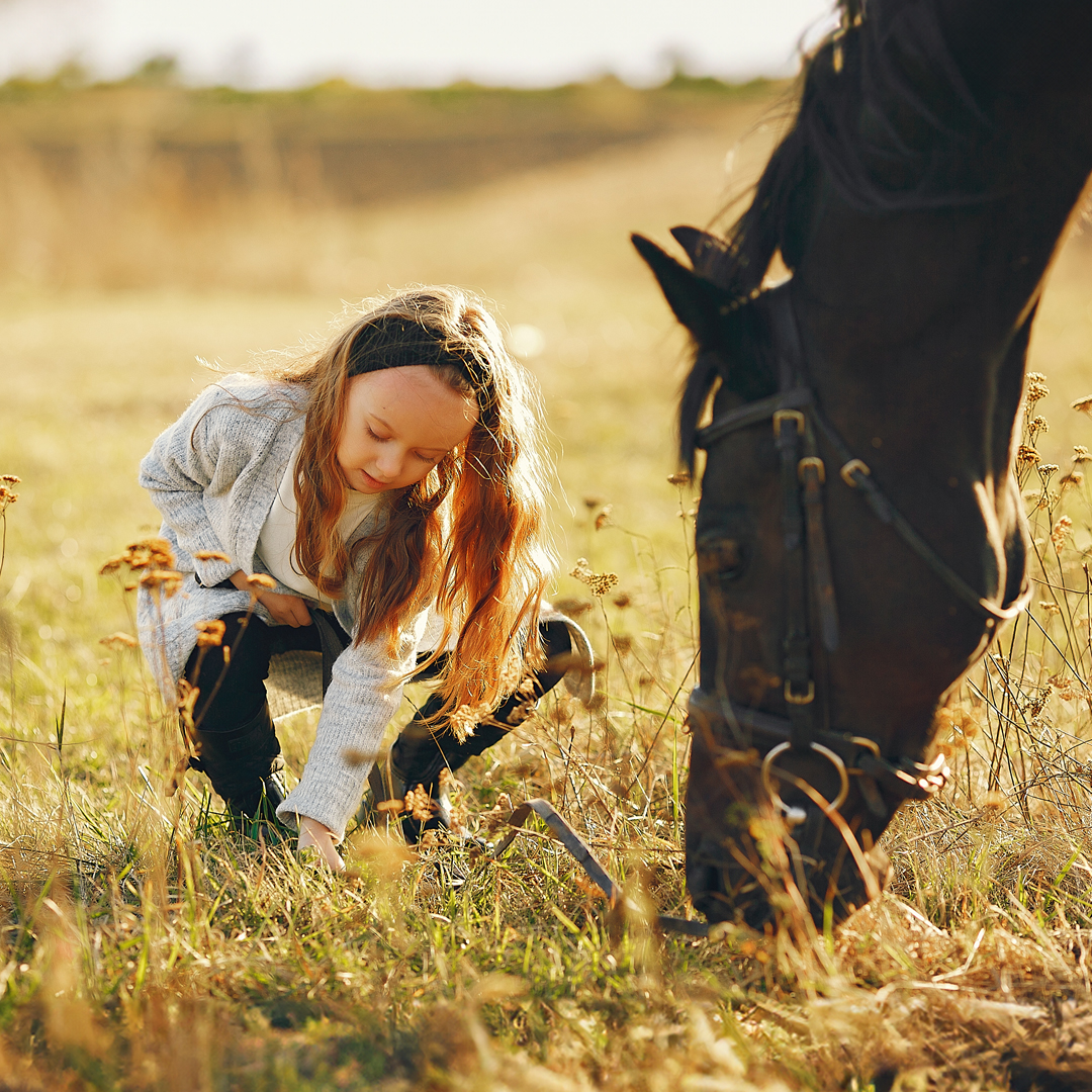 cute-little-girl-autumn-field-with-horse Kopie