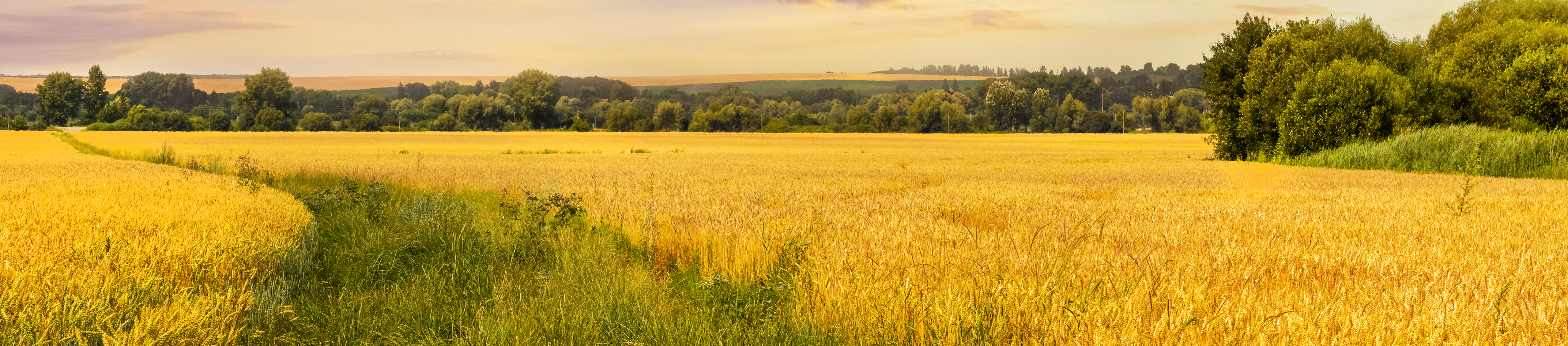@HEADER-UNSERE_MARKEN @HEADER-UNSERE_MARKEN