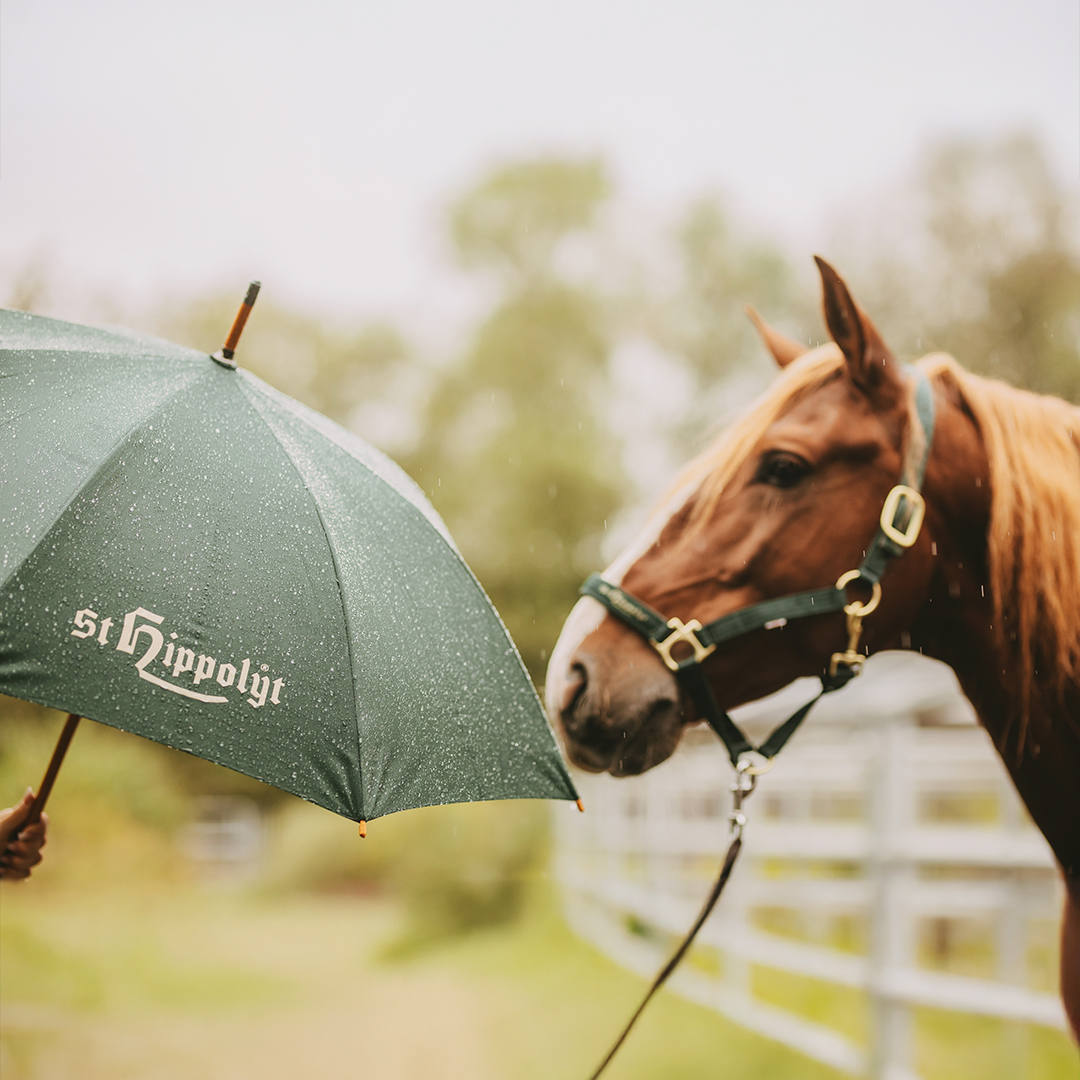 St. Hippolyt Regenschirm St. Hippolyt Regenschirm