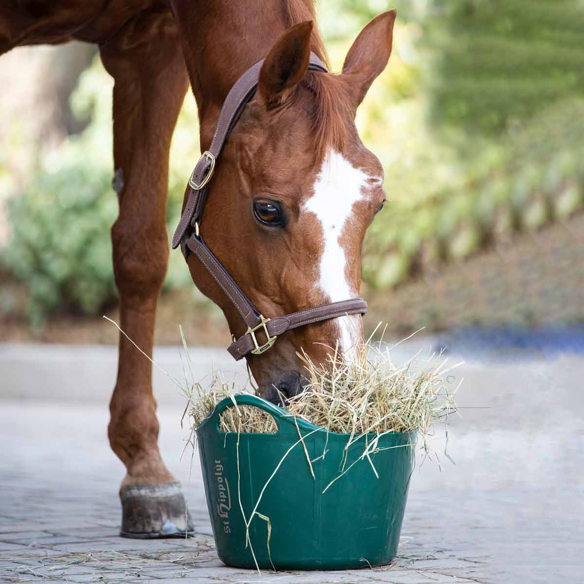 St. Hippolyt Flexischale St. Hippolyt Flexischale