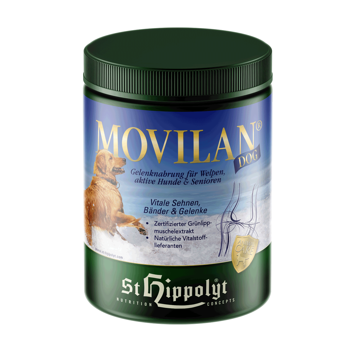Movilan Dog Movilan Dog