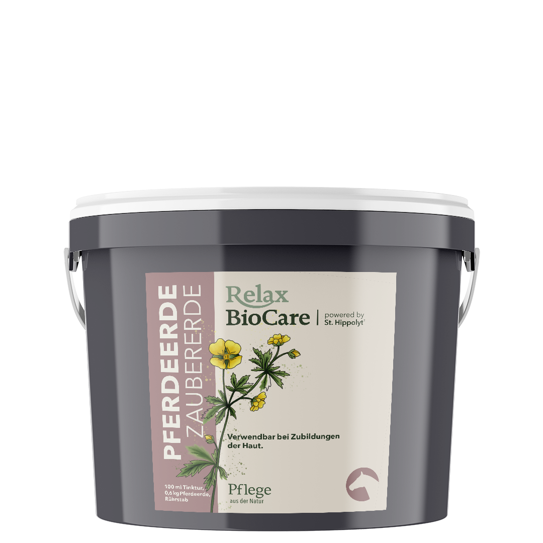 Zaubererde Pferd Zaubererde Pferd