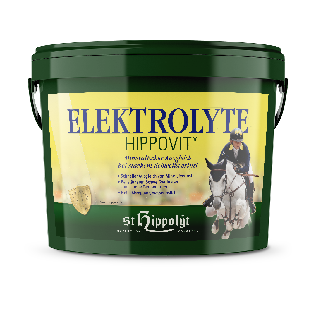 Elektrolyte