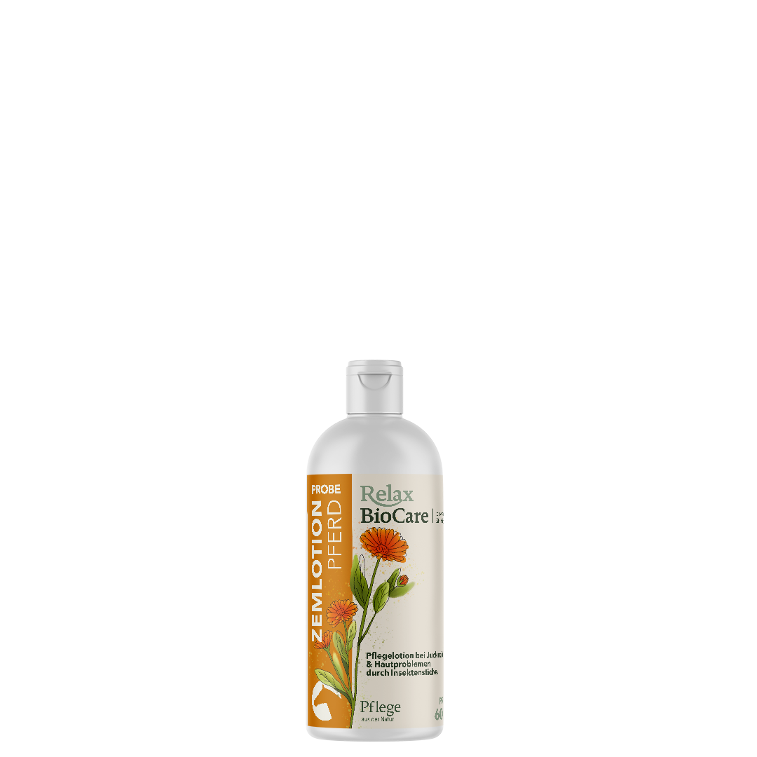 Zemlotion Pferd