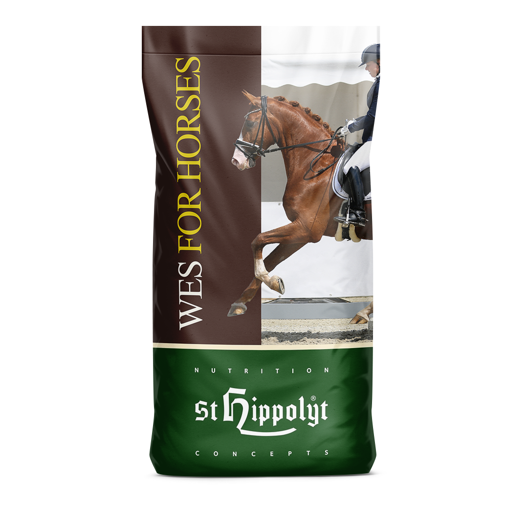 WES Power Crunch WES Power Crunch