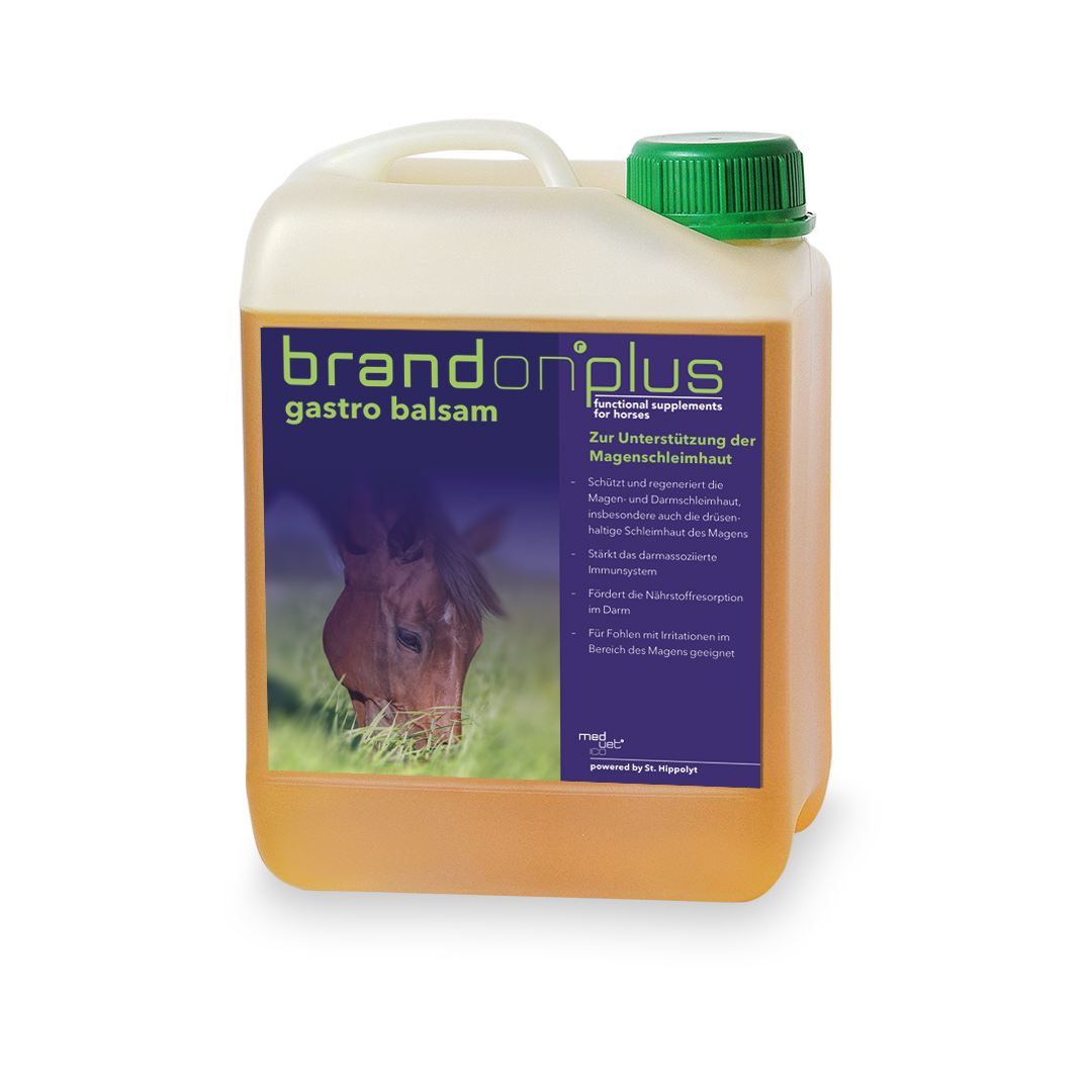 Brandon® plus gastro balsam Brandon® plus gastro balsam