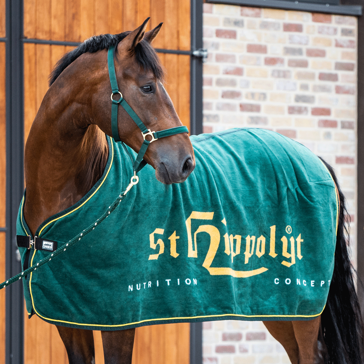 Abschwitzdecke Eskadron Abschwitzdecke Eskadron