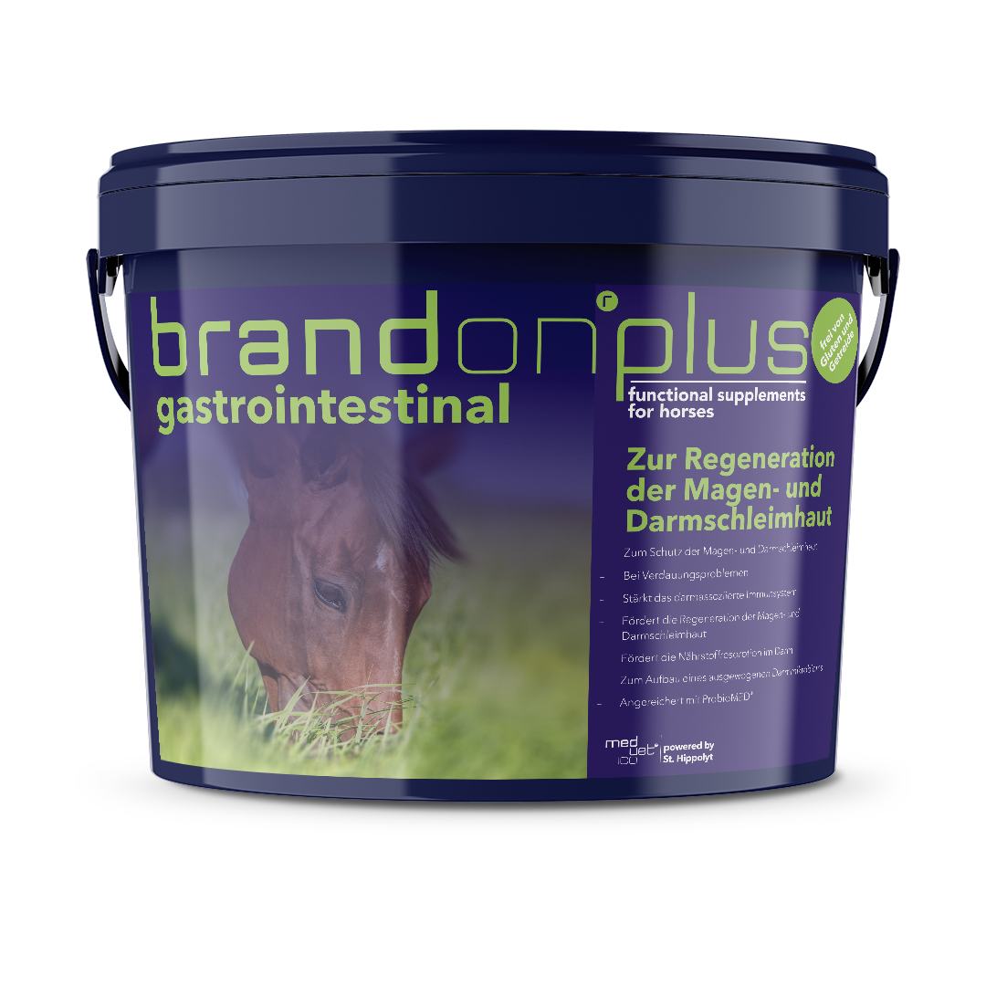 Brandon® plus gastrointestinal Brandon® plus gastrointestinal