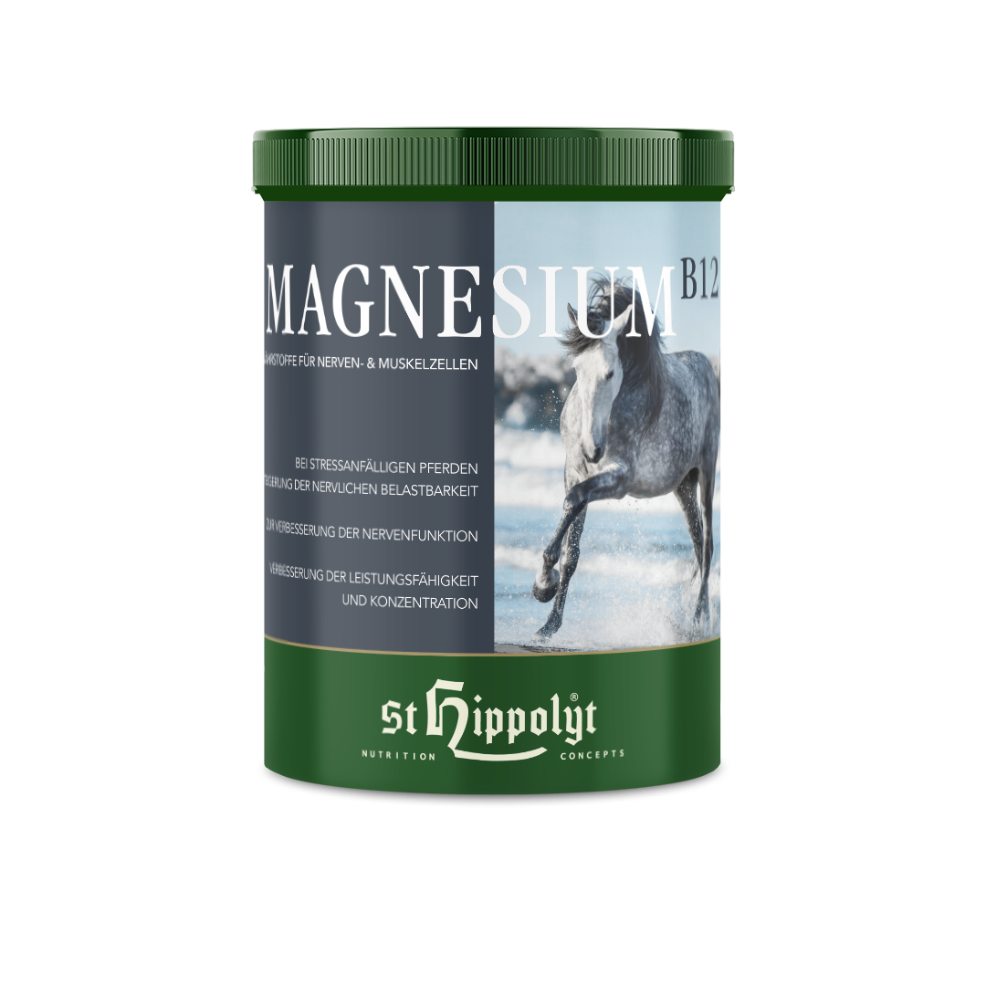 Magnesium B12 Magnesium B12