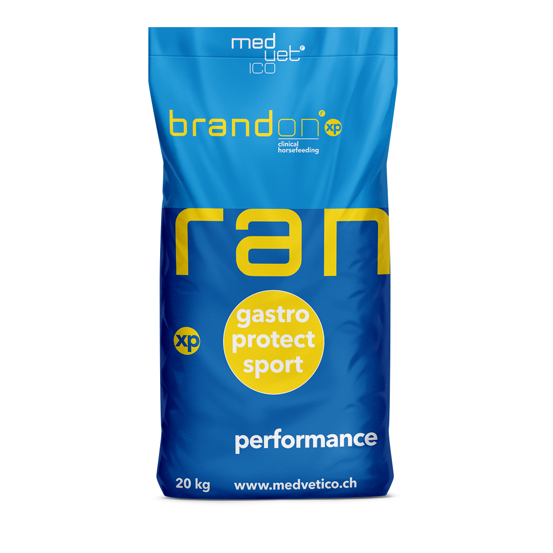 Brandon® xp Brandon® xp