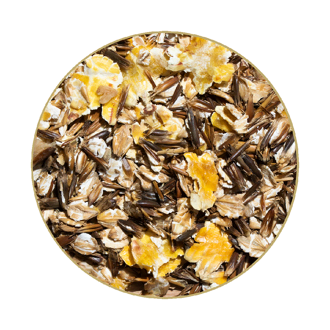 C'Real Basics® Dynamic C'Real Basics® Dynamic