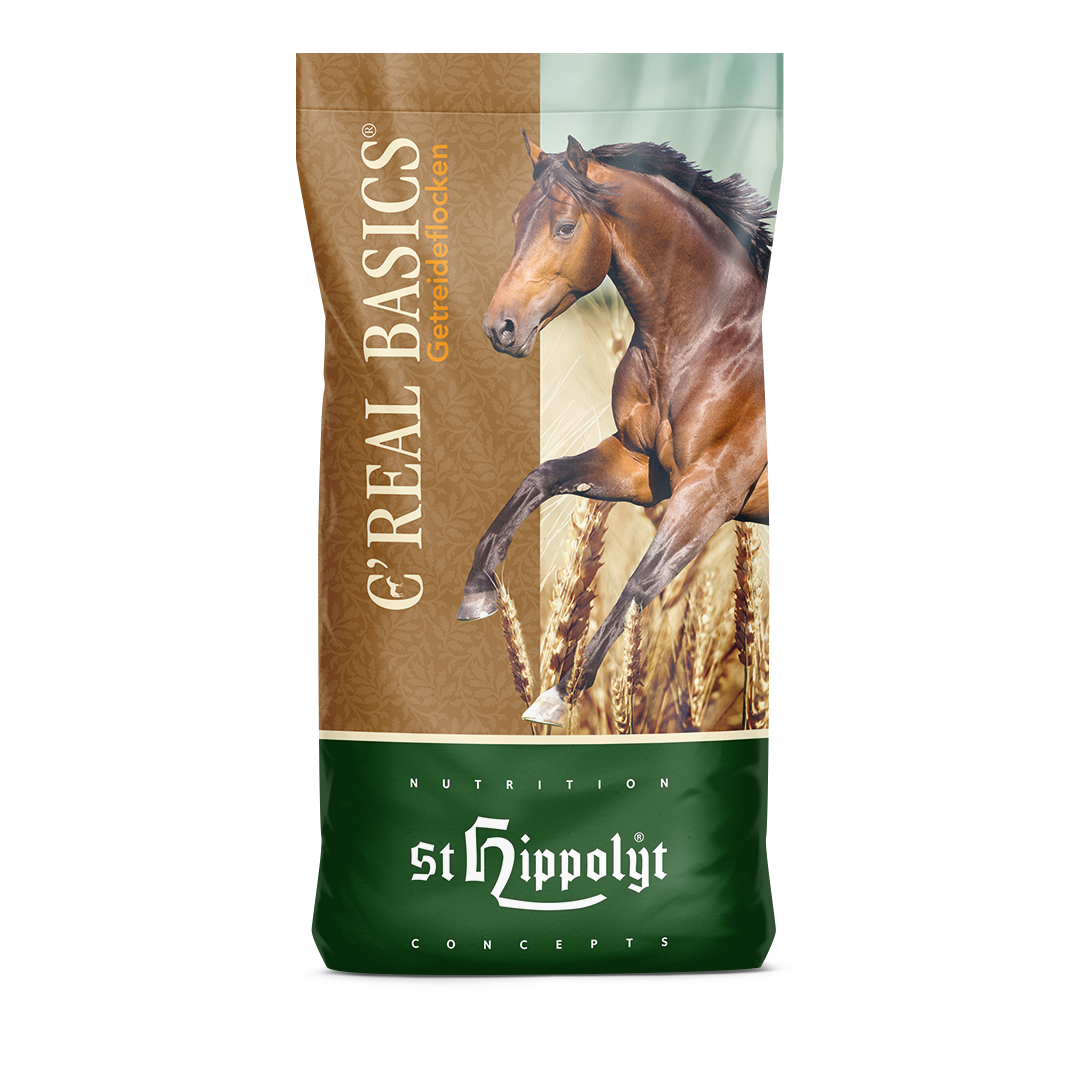 C'Real Basics® Dynamic C'Real Basics® Dynamic