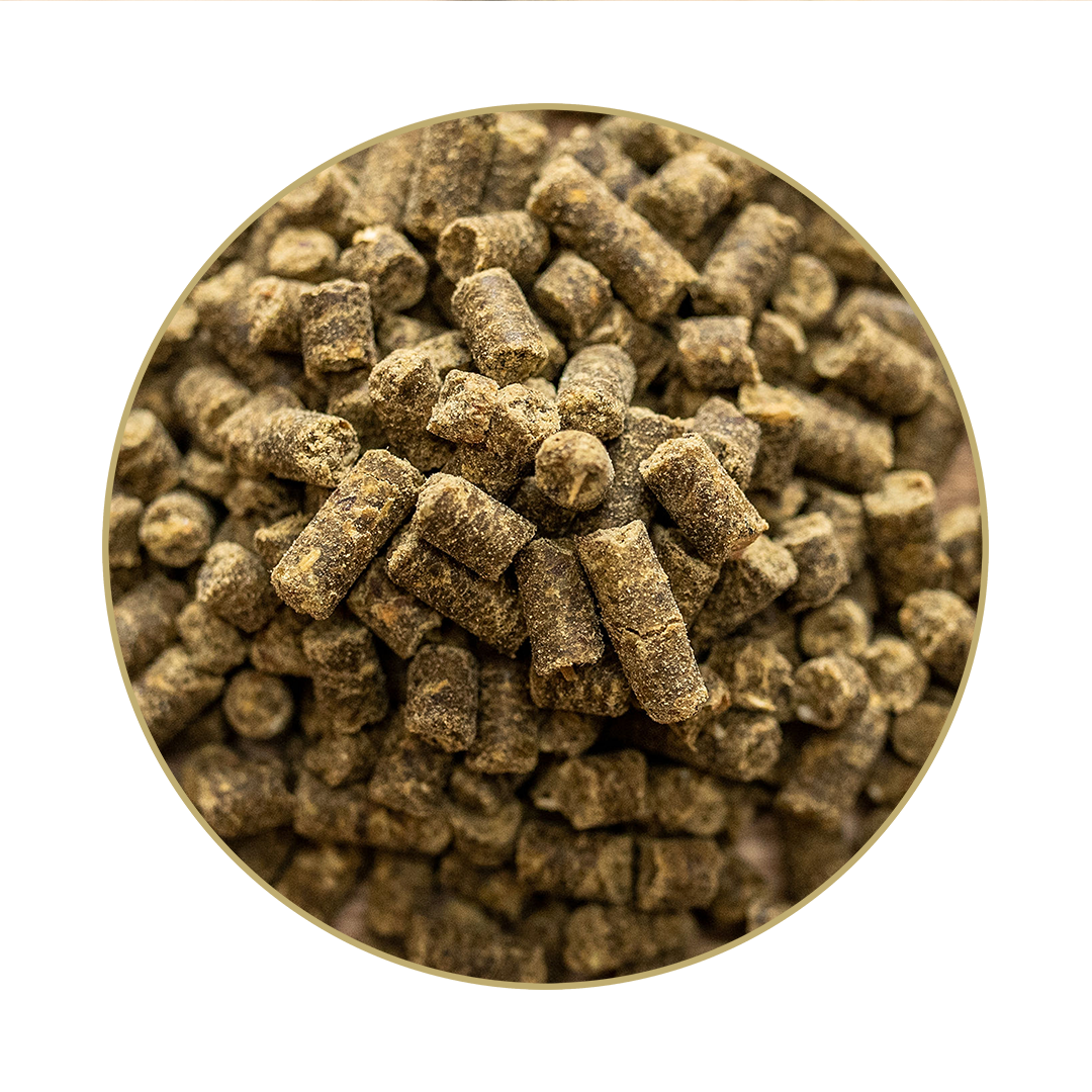 Vitamin E + Selen Vitamin E + Selen