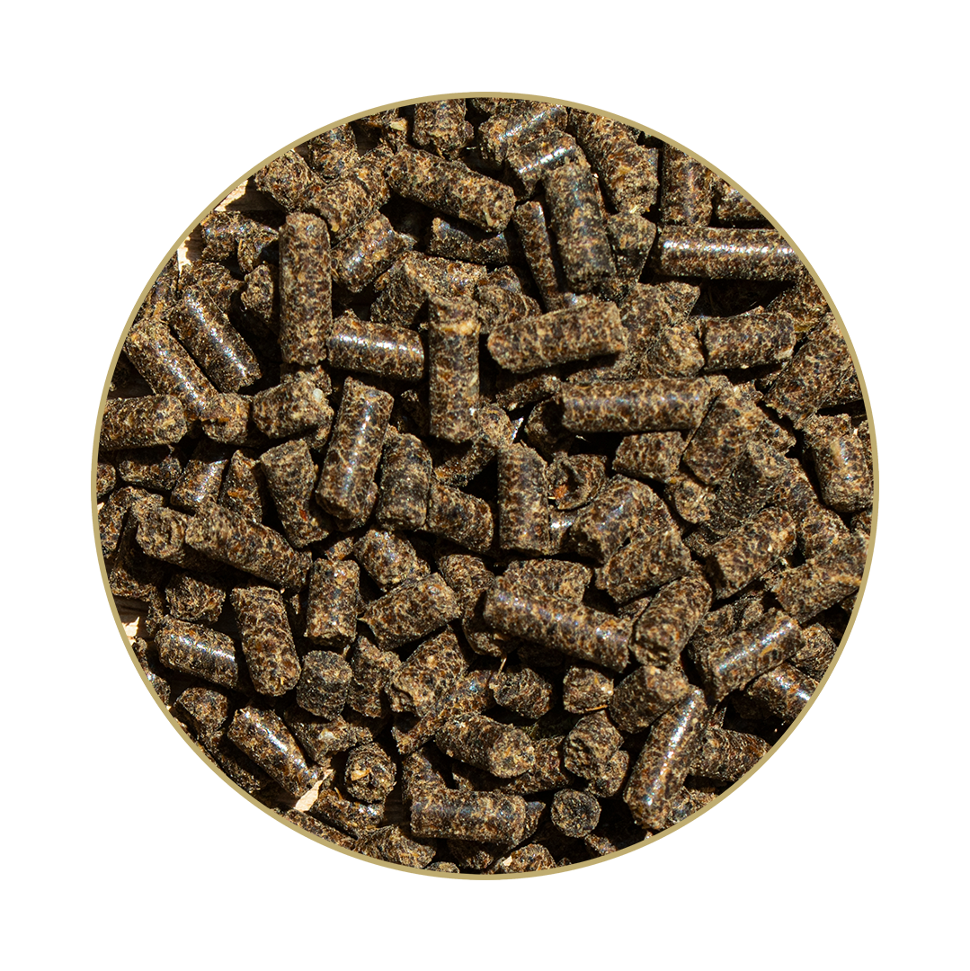 Hesta Plus® Eisen Hesta Plus® Eisen