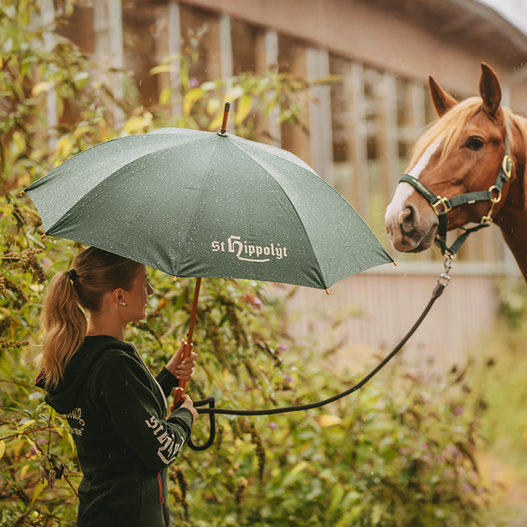 St. Hippolyt Regenschirm St. Hippolyt Regenschirm