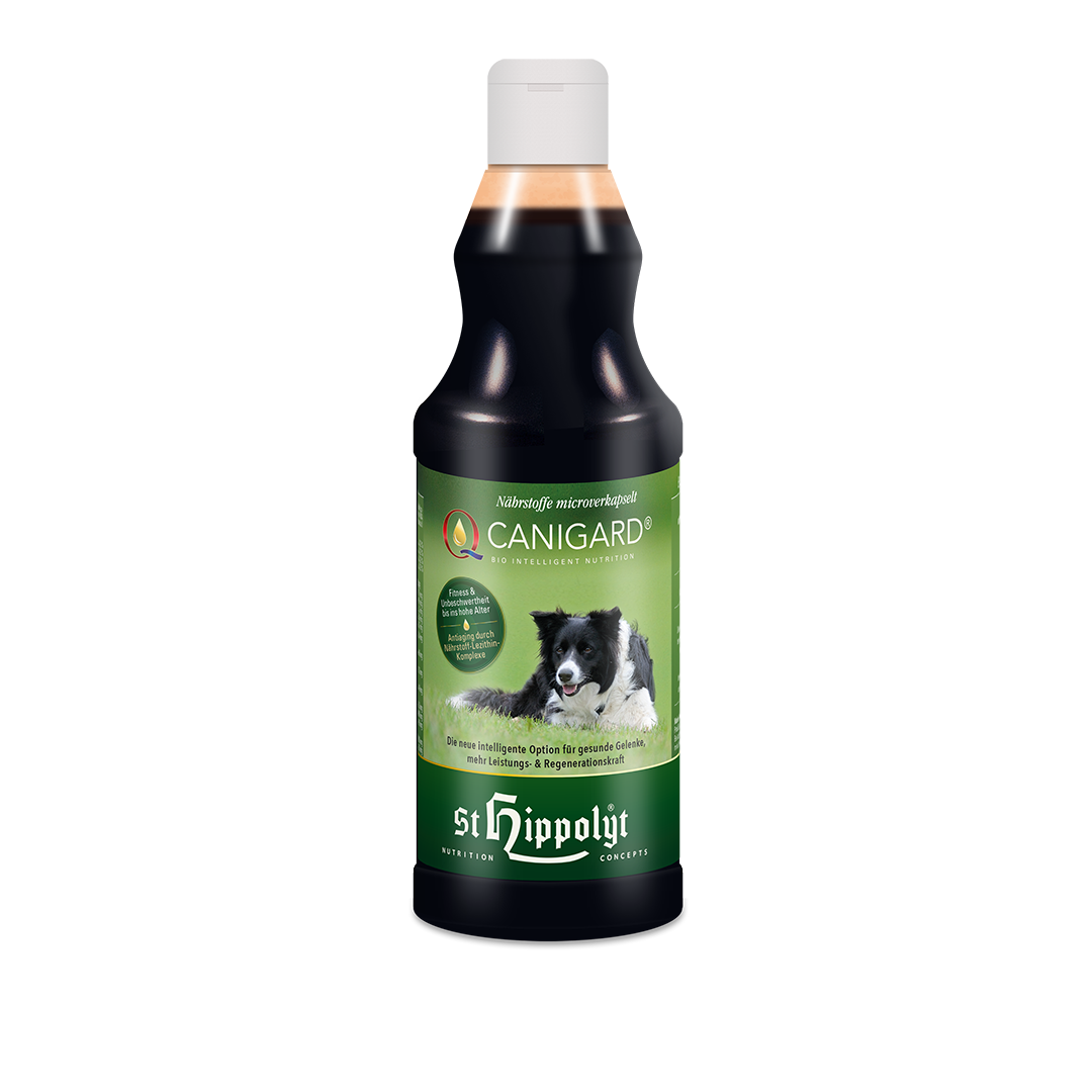 Canigard