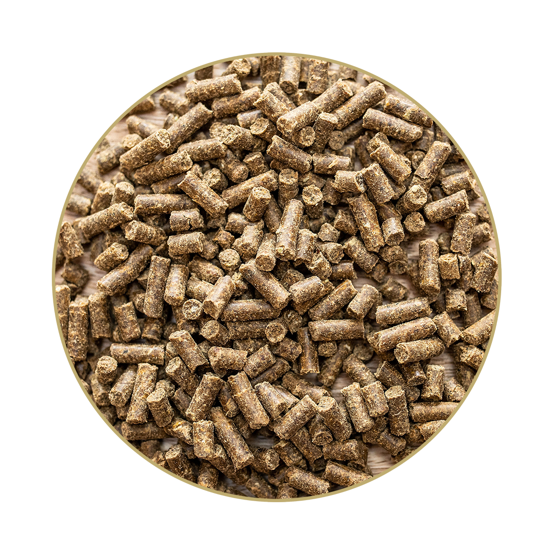 Biotin Hoof Mixture Biotin Hoof Mixture