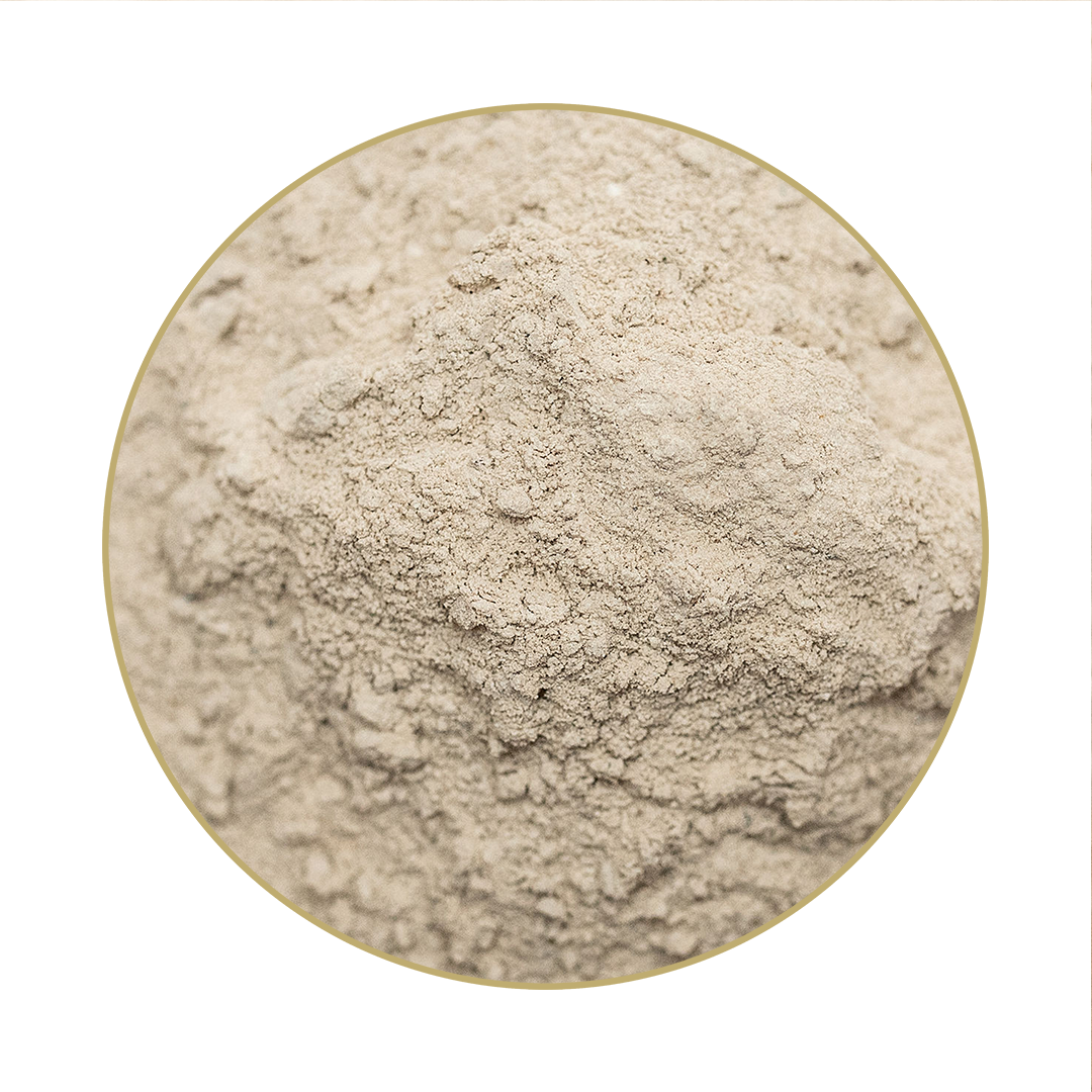 Brandon® plus medigest forte Brandon® plus medigest forte