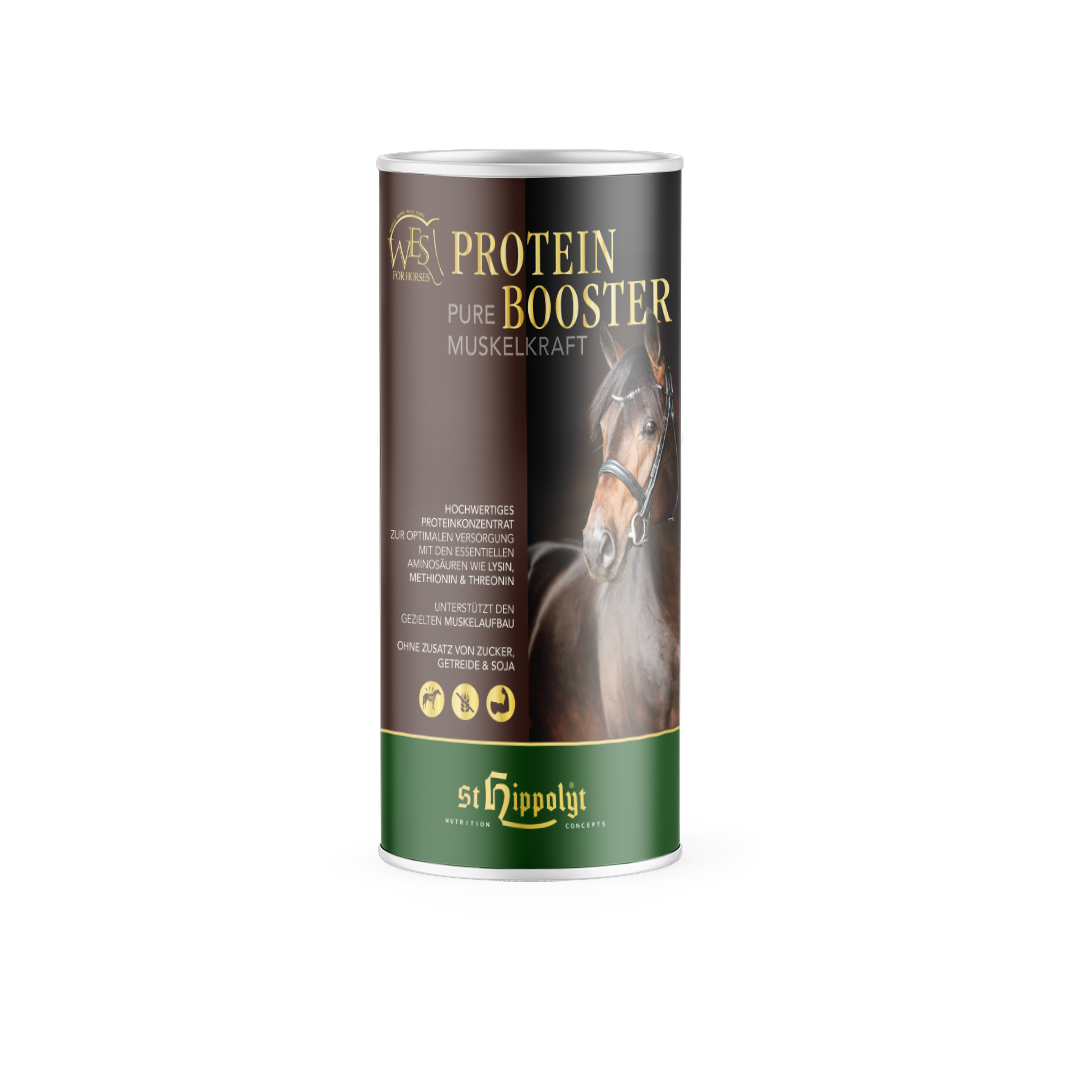 WES Protein Booster WES Protein Booster