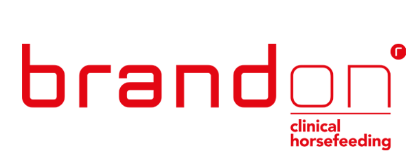 brandon_Logo