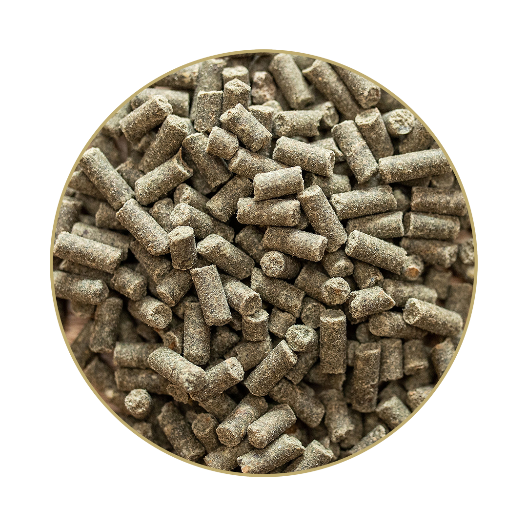 Gold Medal® Gold Medal®