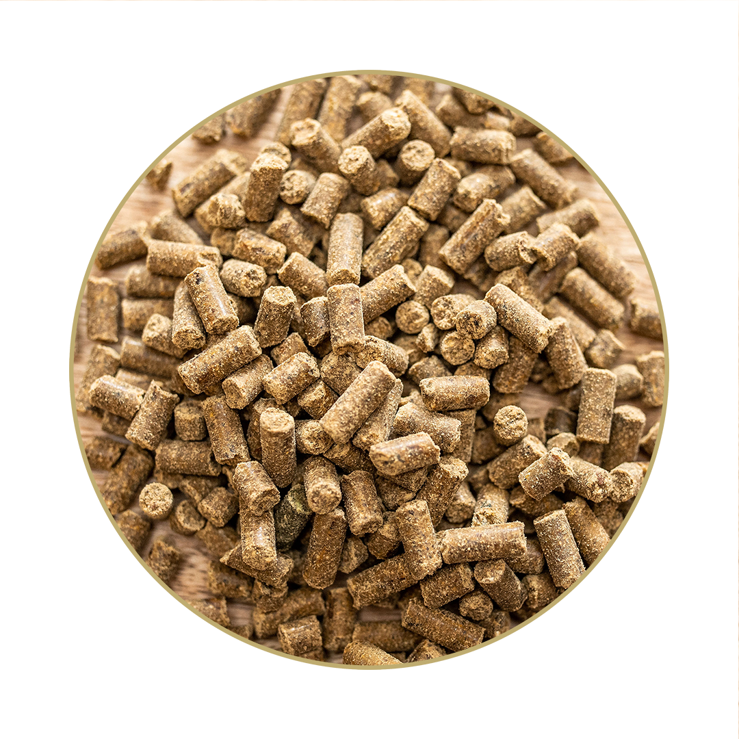 Magnesium B12 Magnesium B12
