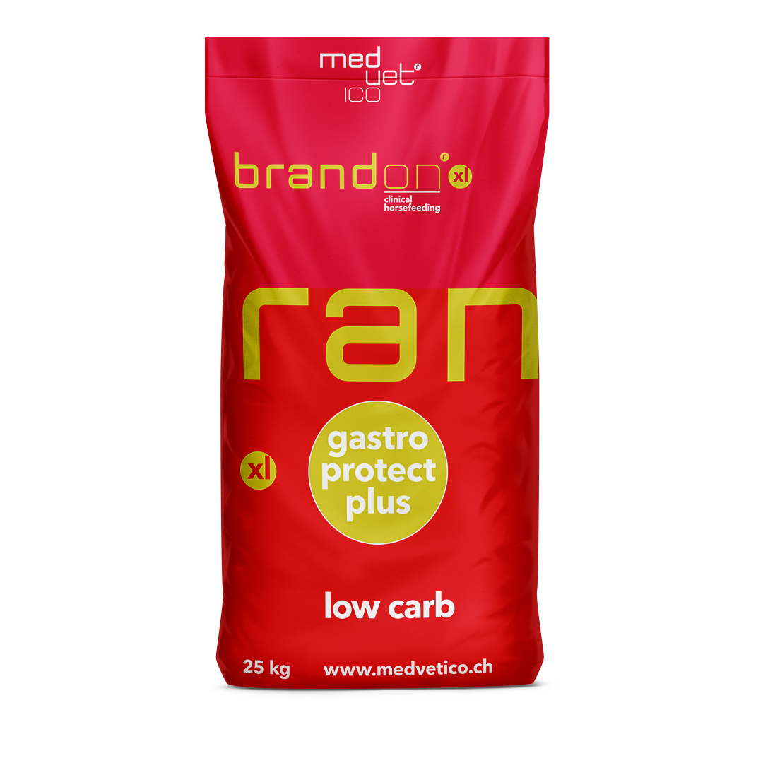 Brandon® xl Brandon® xl