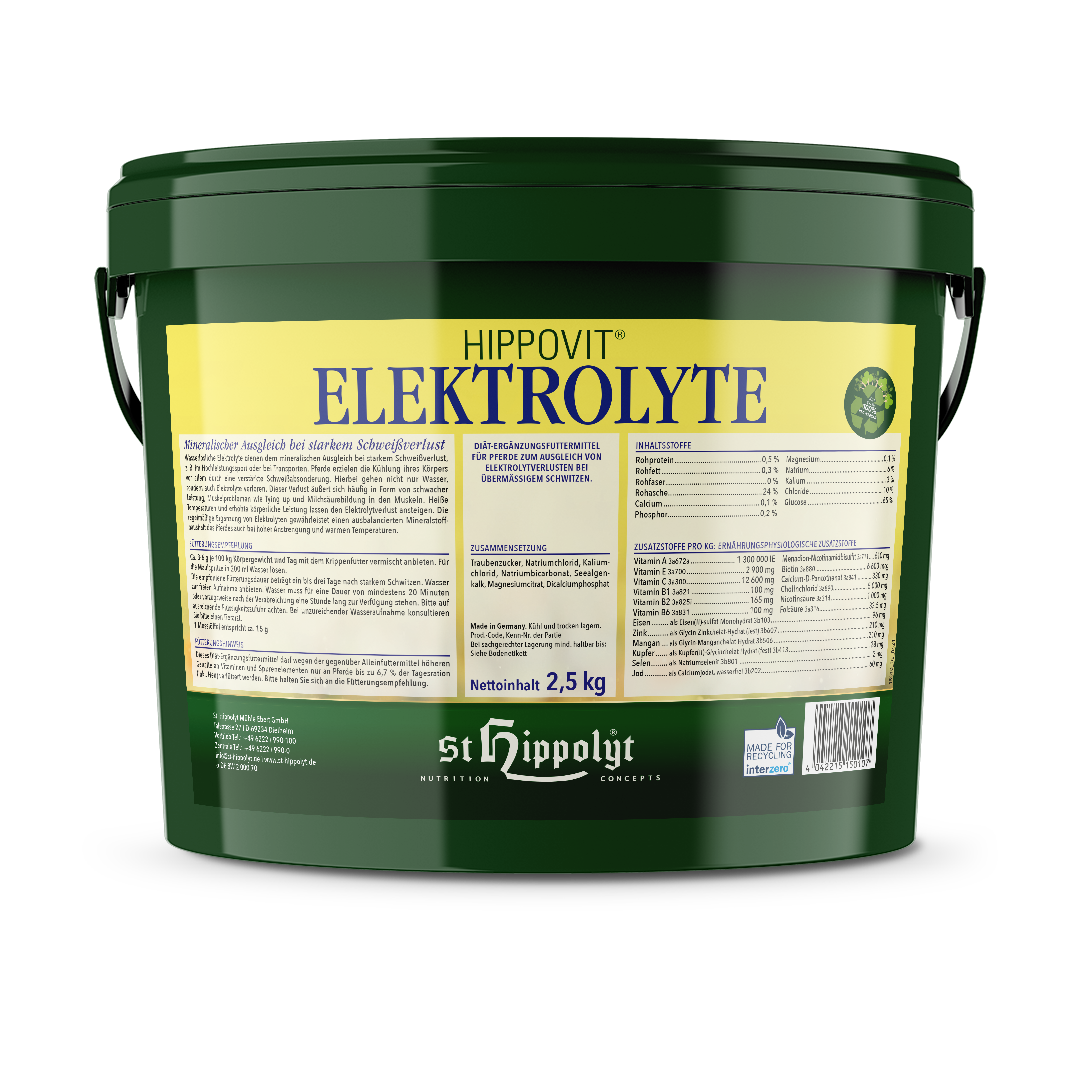 Elektrolyte