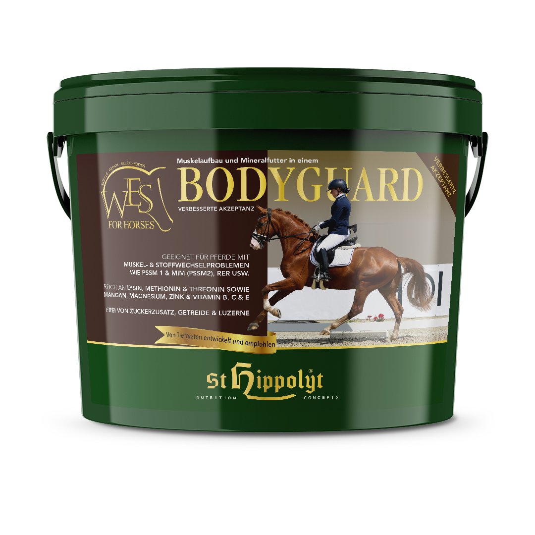 WES Bodyguard WES Bodyguard