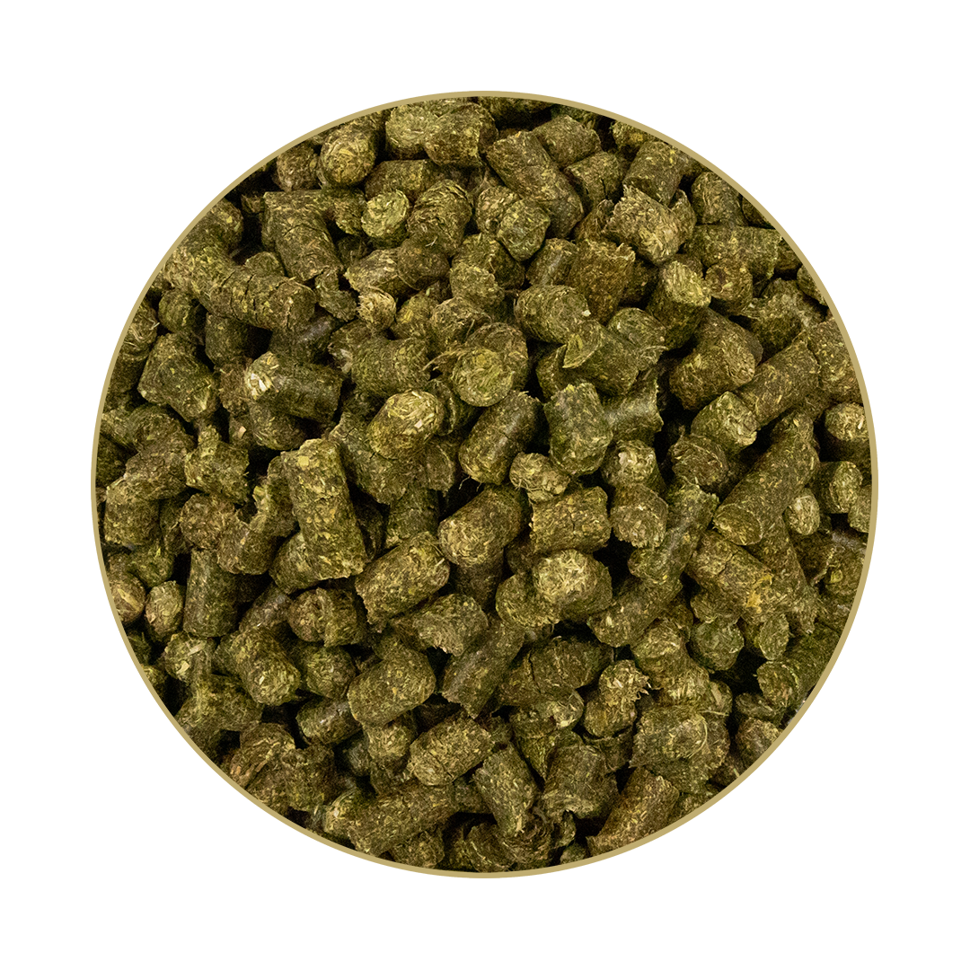 GlyxWiese® BIO Esparsettecobs 
