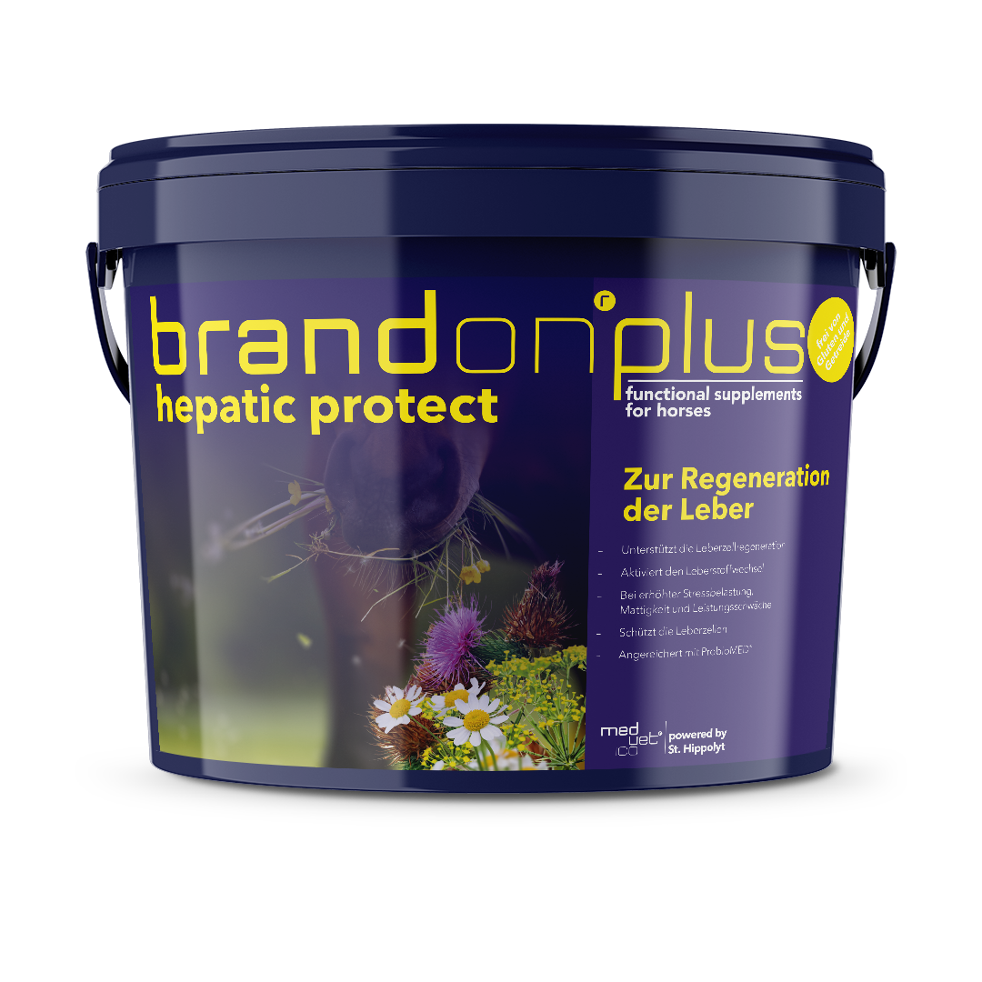 Brandon® plus hepatic protect Brandon® plus hepatic protect